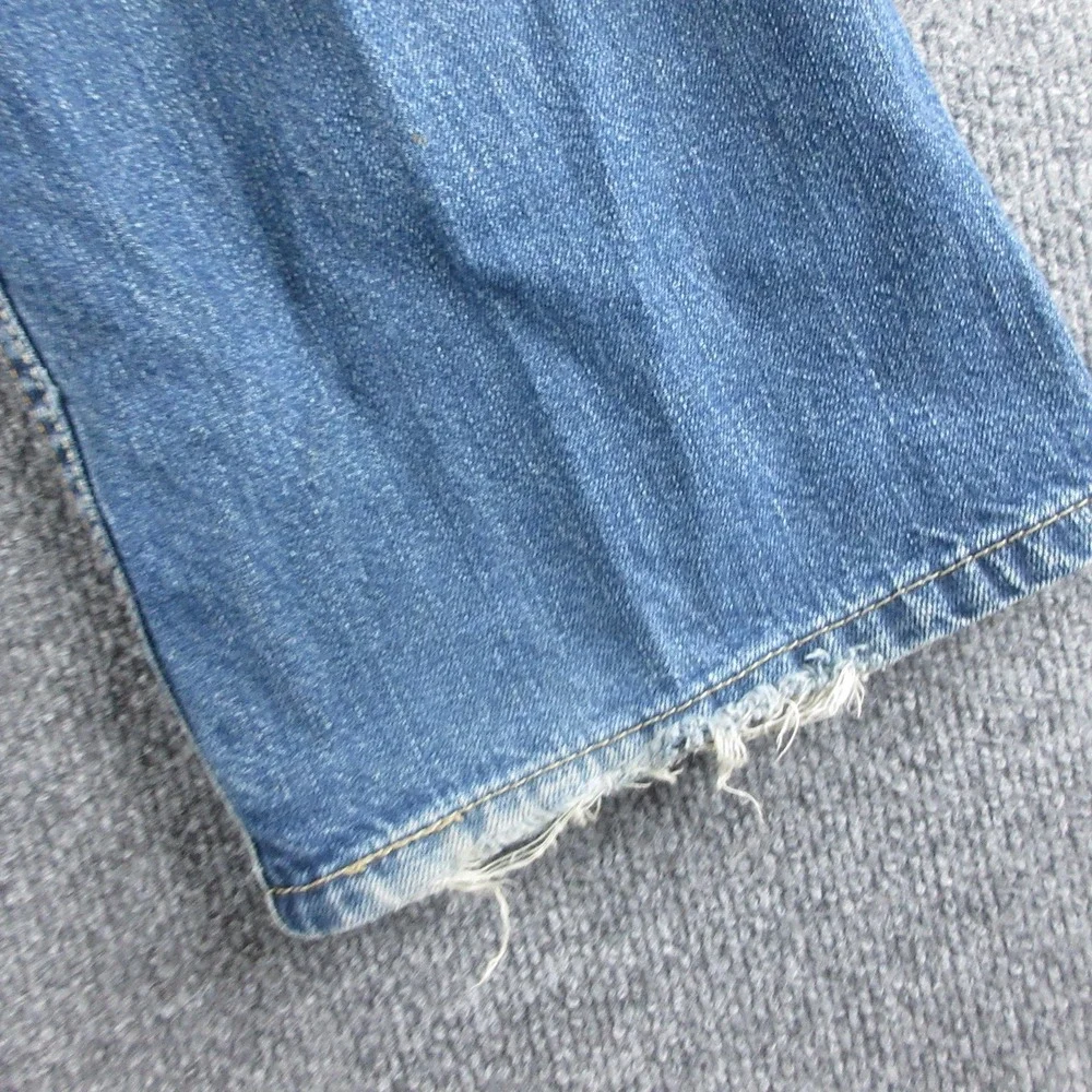 Levis levis 527